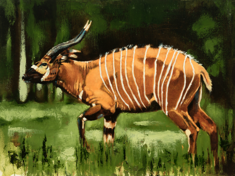 BONGO WONGO by artist DOUG GILES